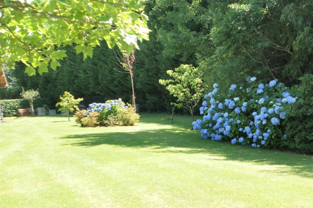Les Volets Bleus Bed & Breakfast Arcangues Ngoại thất bức ảnh